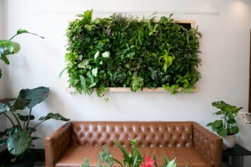 Décorez votre intérieur avec des plantes.