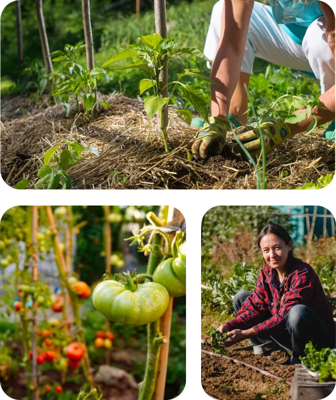 tryptique-module-permaculture