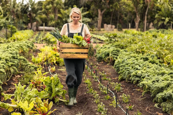 Agricultrice dans son potager biologique