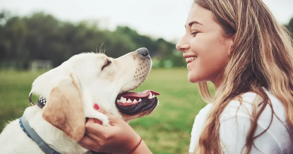 renforcement positif chien